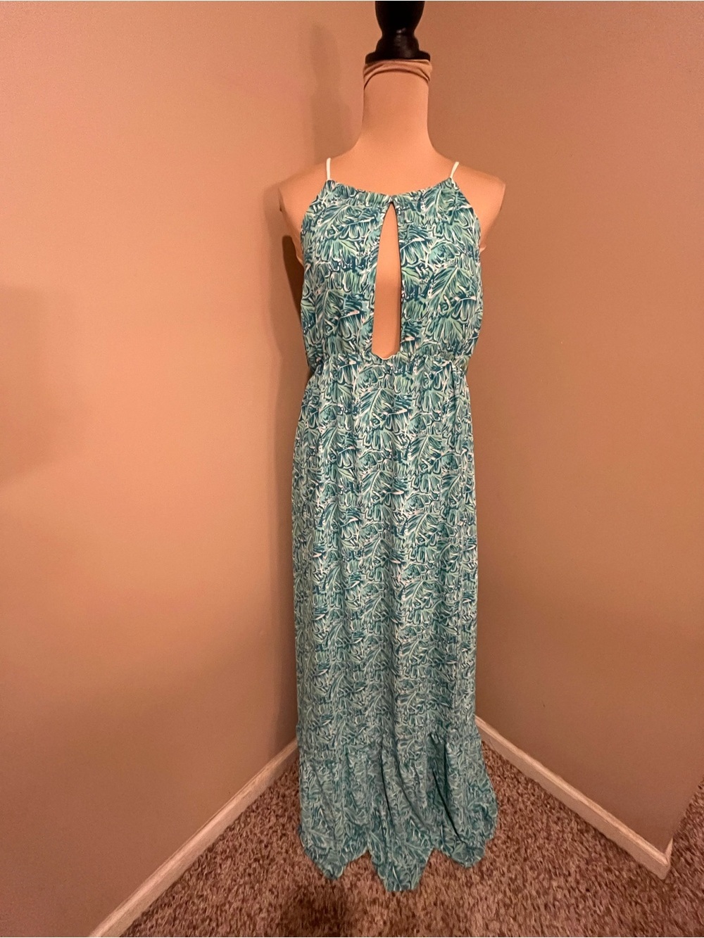 Shake Your Palm Palms Aqua/Teal Lauren James Cabo Vaca Maxi, size Large